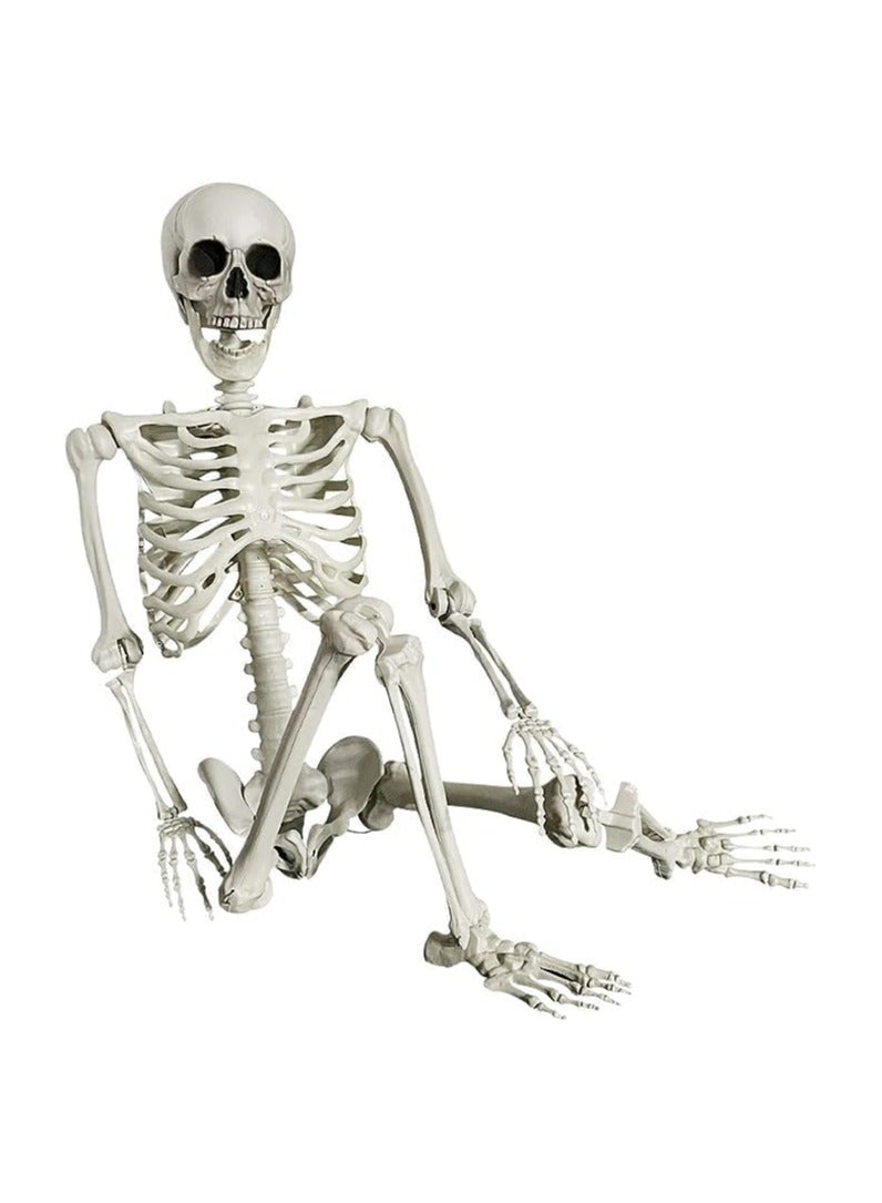 استخوان پلاستیکی با مفاصل متحرک برند generic