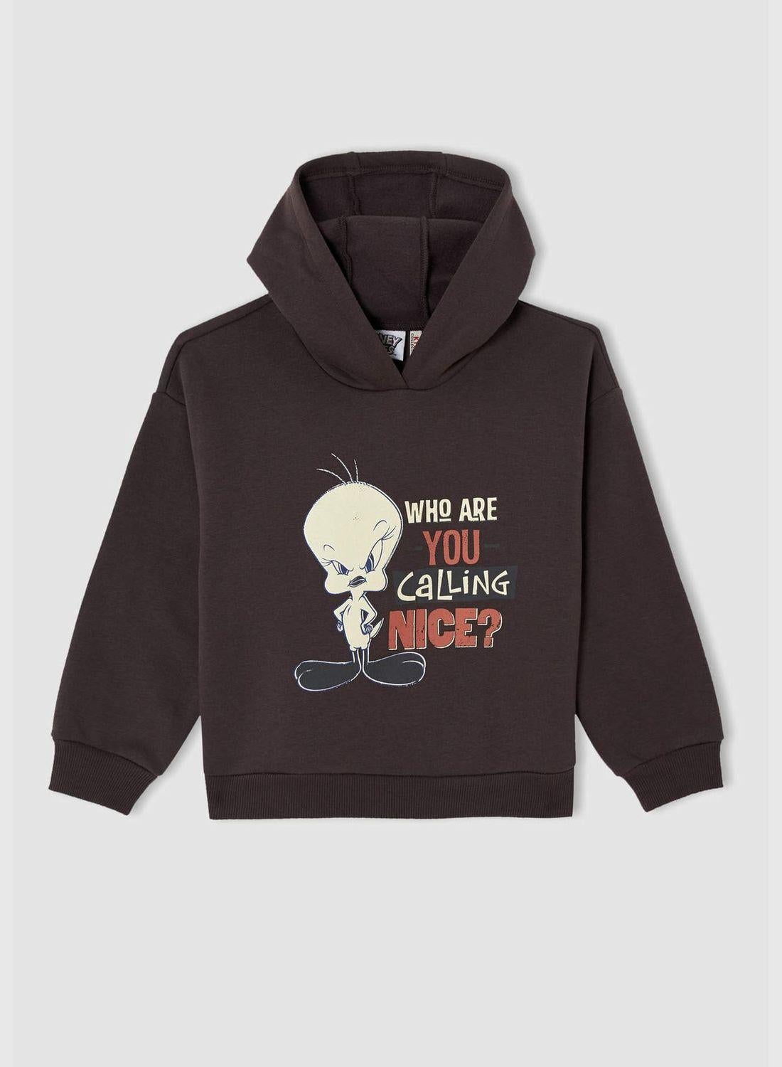 سویشرت کلاهدار توئیتی برند Defacto