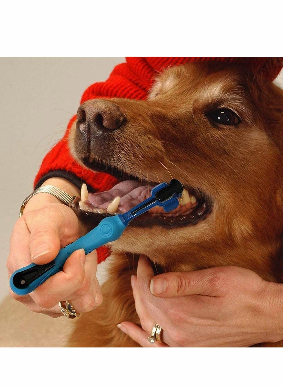 مسواک حیوانات خانگی ۲ عددی برند syosi