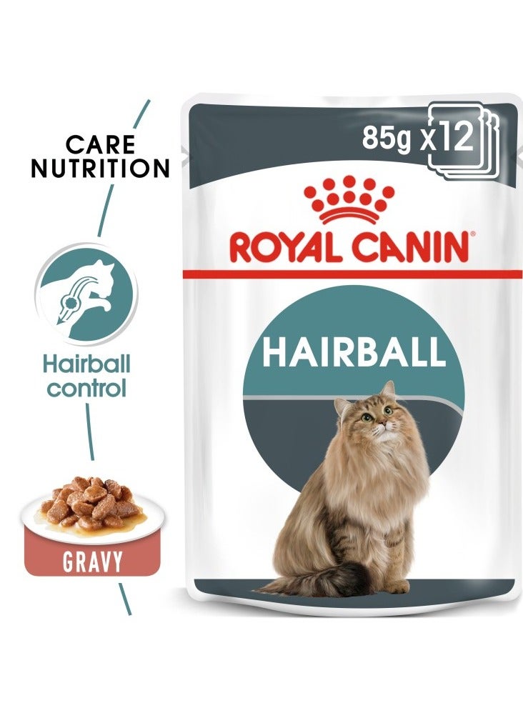 غذای مرطوب گربه با سس مویی برند فیلاین کِر نوتریشن - ۱ پاکت برند royal canin