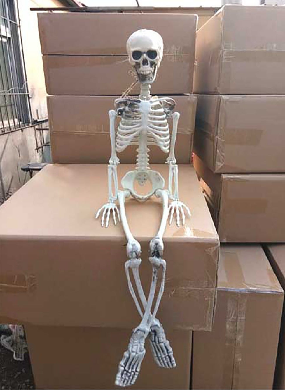 استخوان‌های پلاستیکی با مفاصل متحرک برای دکوراسیون و تزئینات، مناسب برای دکوراسیون خانه‌های ترسناک و آویزهای تعطیلات هالووین (90 سانتی‌متر) برند generic