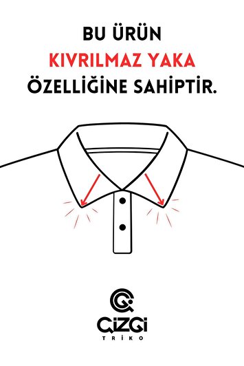 پولوشرت مردانه یقه دار تابستانی مدل رگولار برند Çizgi triko 1581133116