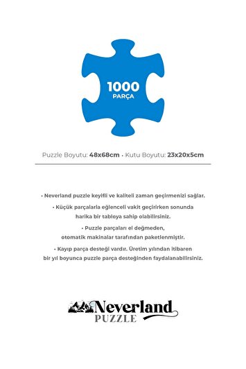 پازل 1000 تکه - شب ستاره‌ای (YILDIZLI GECE) برند neverland 7696085