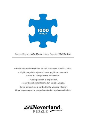 پازل 1000 تکه - شب ستاره‌ای (YILDIZLI GECE) برند neverland 8036949