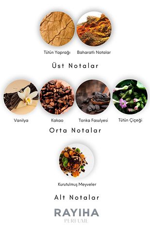 عطر تام فورد توتوباکو وانیل N12 با رایحه غنی و ادویه‌ای وانیل برای استفاده مشترک 50 میلی‌لیتر 11365413