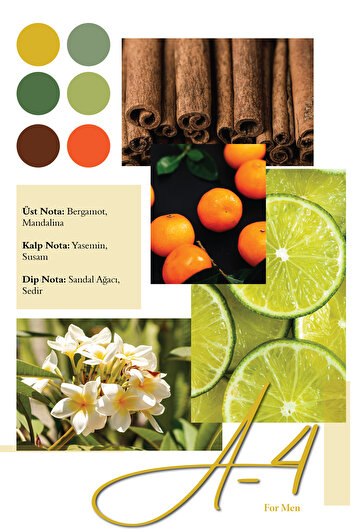 عطر مردانه A-4 100 میلی لیتر برند frederic patric 1532202480