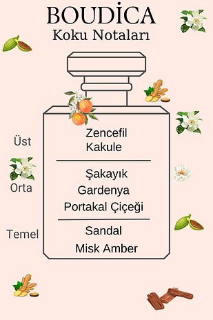 عطر زنانه و ماندگار 100 میلی‌لیتری ورساچه کریستال نوآر با غلظت 20 درصد اسانس برند la aurora theraphy natural 954078148