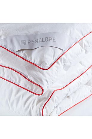 لحاف تک نفره پر شده با 100% پر غاز - سری الگره برند penelope 1144866361