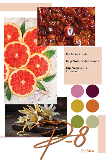 عطر مردانه P-8 100 میلی لیتر برند frederic patric 1555332098