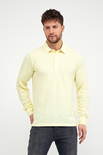 رنگ زرد لیمویی