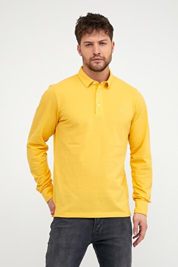 رنگ رنگ زرد