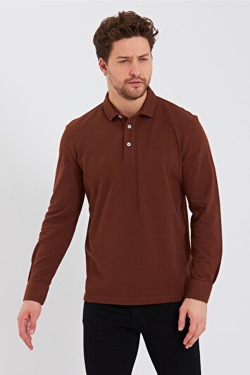 رنگ رنگ قهوه ای