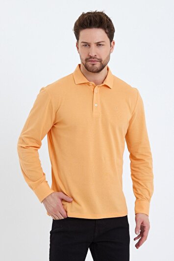 رنگ ماهی سالمون