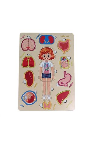 پازل آموزشی بدن و اعضای بدن دخترانه مونته‌سوری چوبی 30cmx21cm