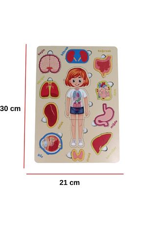 پازل آموزشی بدن و اعضای بدن دخترانه مونته‌سوری چوبی 30cmx21cm برند tianor 5130499